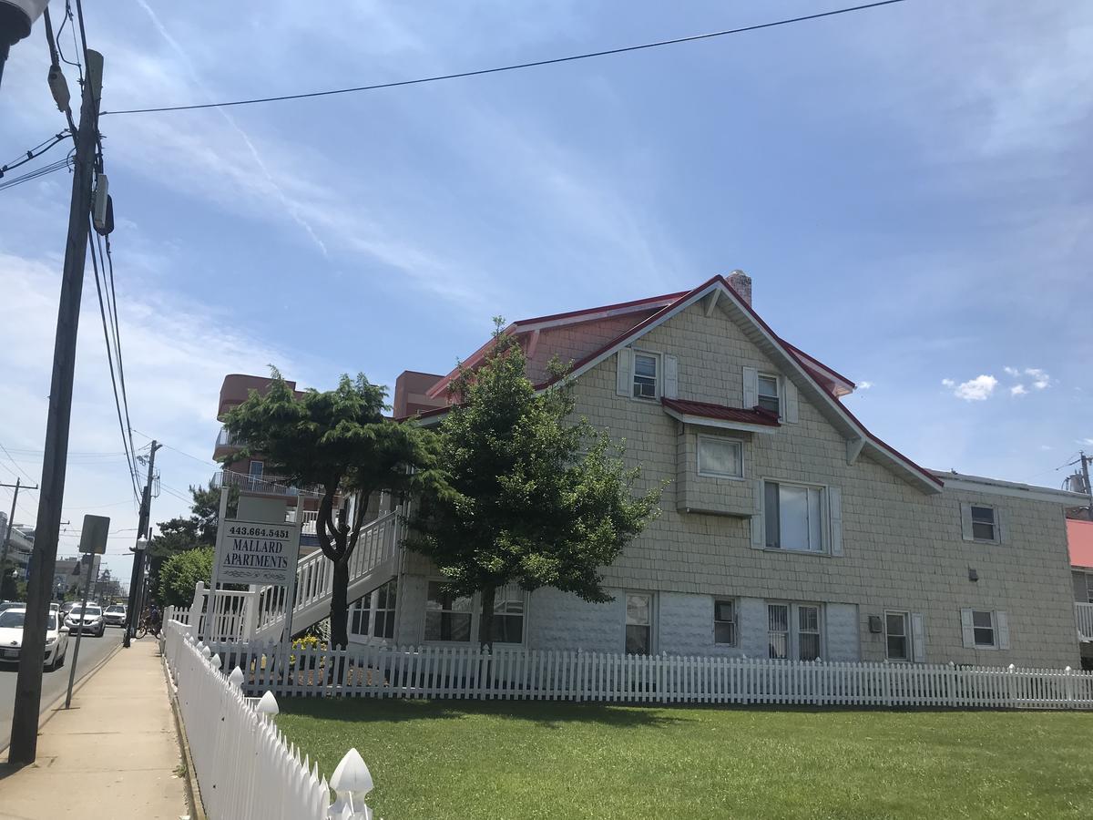 Mallard Apartments Ocean City Esterno foto